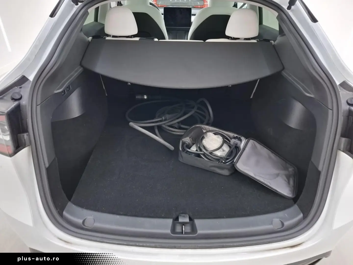 TESLA Model Y Standard RWD Plus