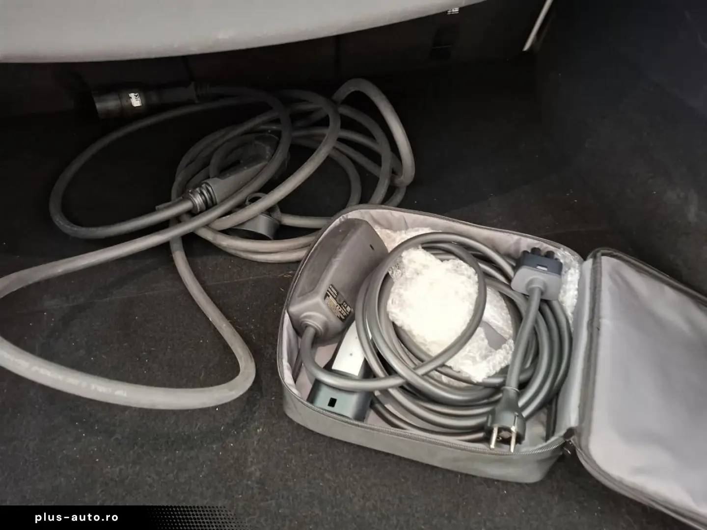 TESLA Model Y Standard RWD Plus