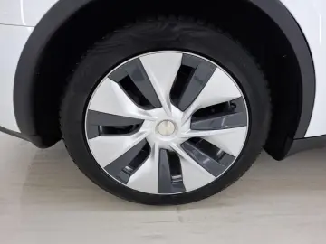 TESLA Model Y Standard RWD Plus