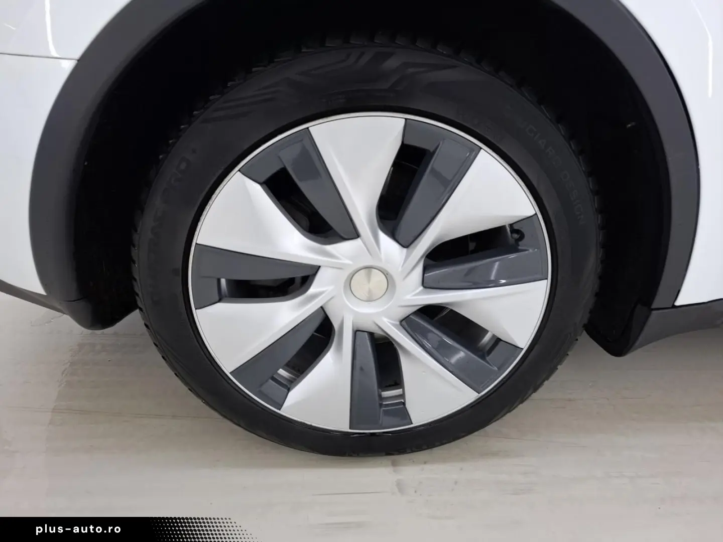 TESLA Model Y Standard RWD Plus