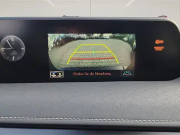 Lexus UX 300e  KAMERA ACC GJ-RÄDER !!