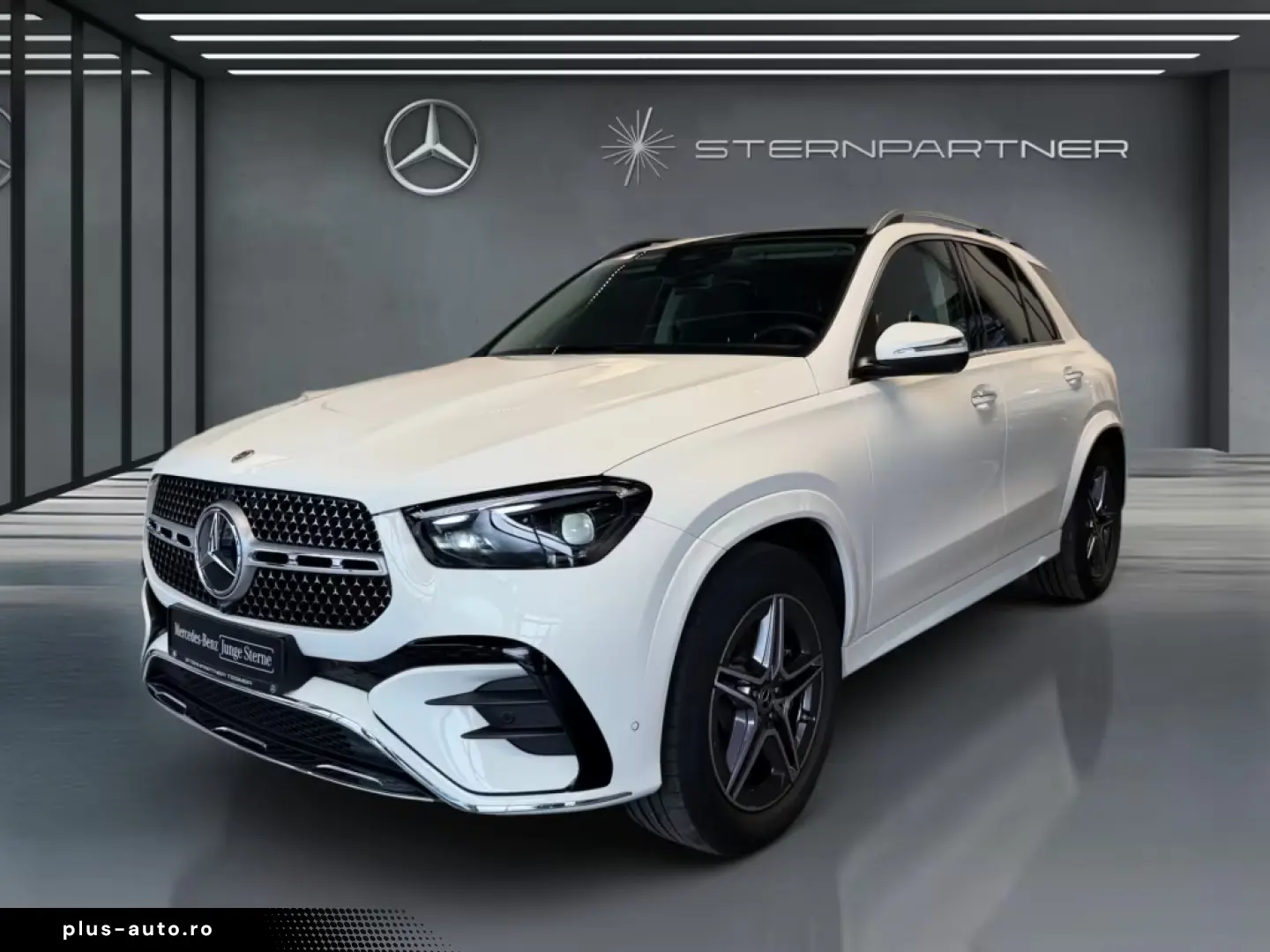 Mercedes-Benz GLE 300d4M AMG MBEAM BURM AMBIE CARP AHK PANO
