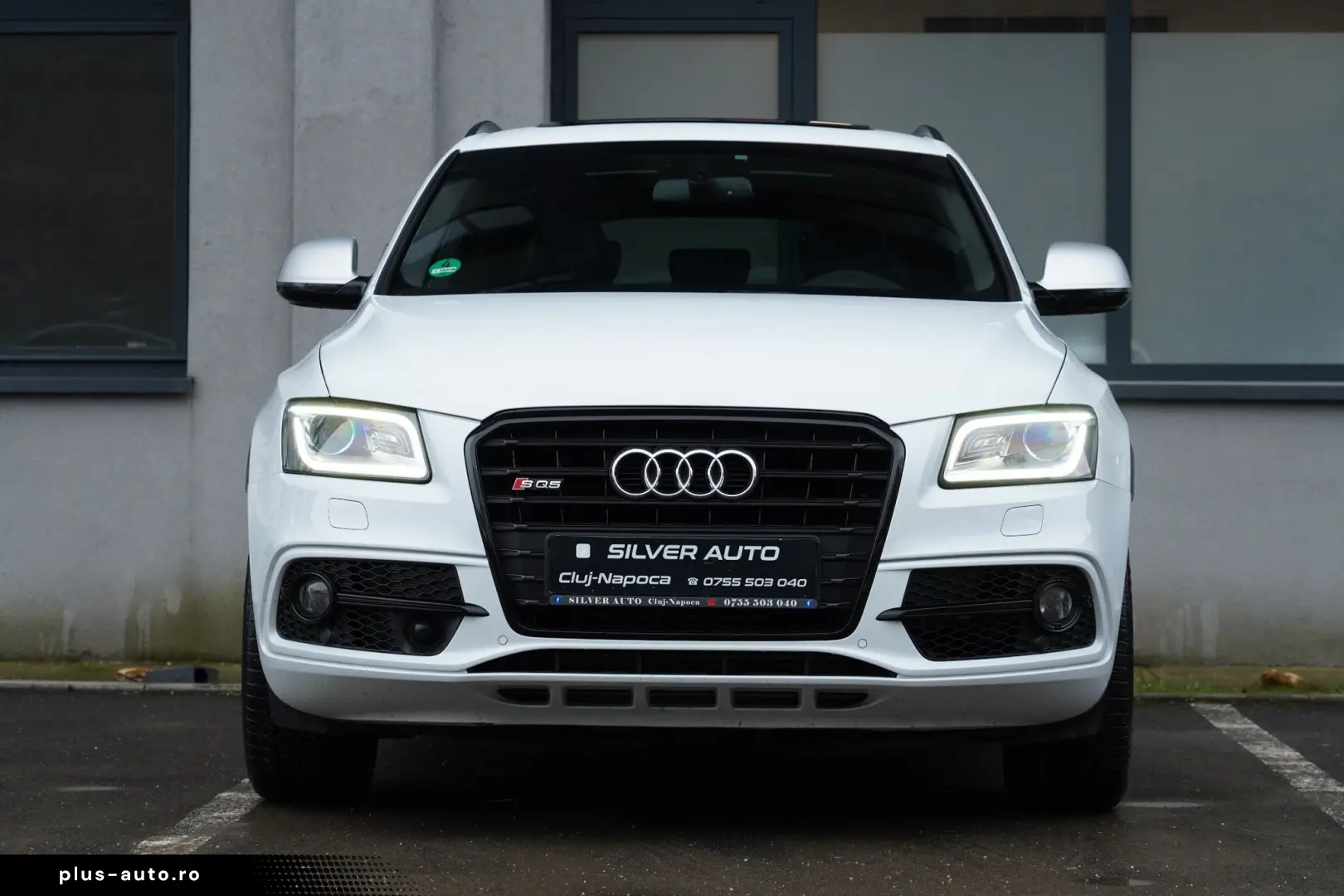 Audi Sq5 Gen-8R-2013-2017