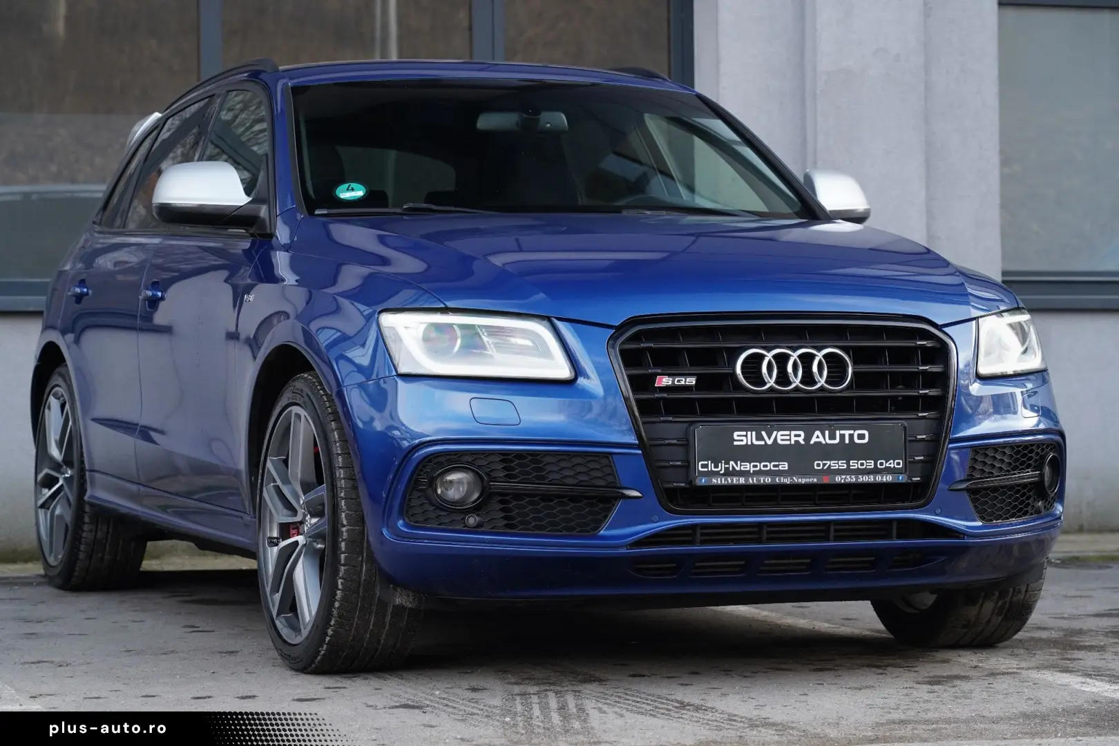 Audi Sq5 Gen-8R-2013-2017