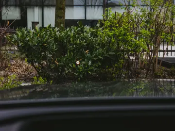 Mercedes Benz GLC 300d 4 Matic AMG Line