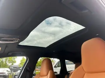 AUDI RS6 Performance Black-Cognac Full-Full AHK STDHZ