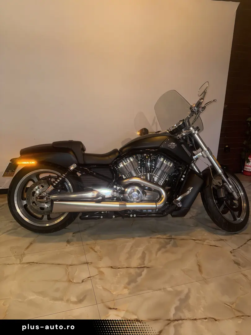 Harley-Davidson V Road muscle