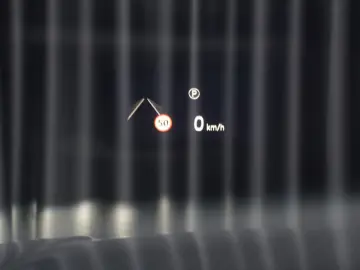 LAND ROVER RangeRover Autobiography D350 Shadow Standheizug