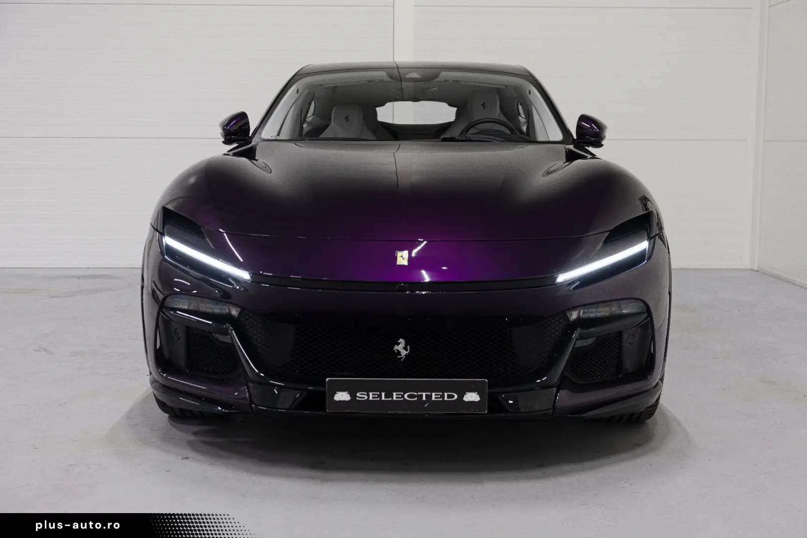 FERRARI PUROSANGUE LIFT MASSAGE PANO EXTRACAMPIONARIO