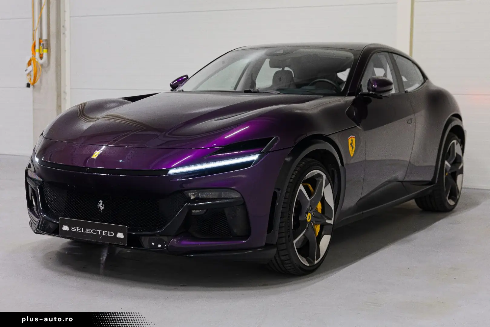 FERRARI PUROSANGUE LIFT MASSAGE PANO EXTRACAMPIONARIO