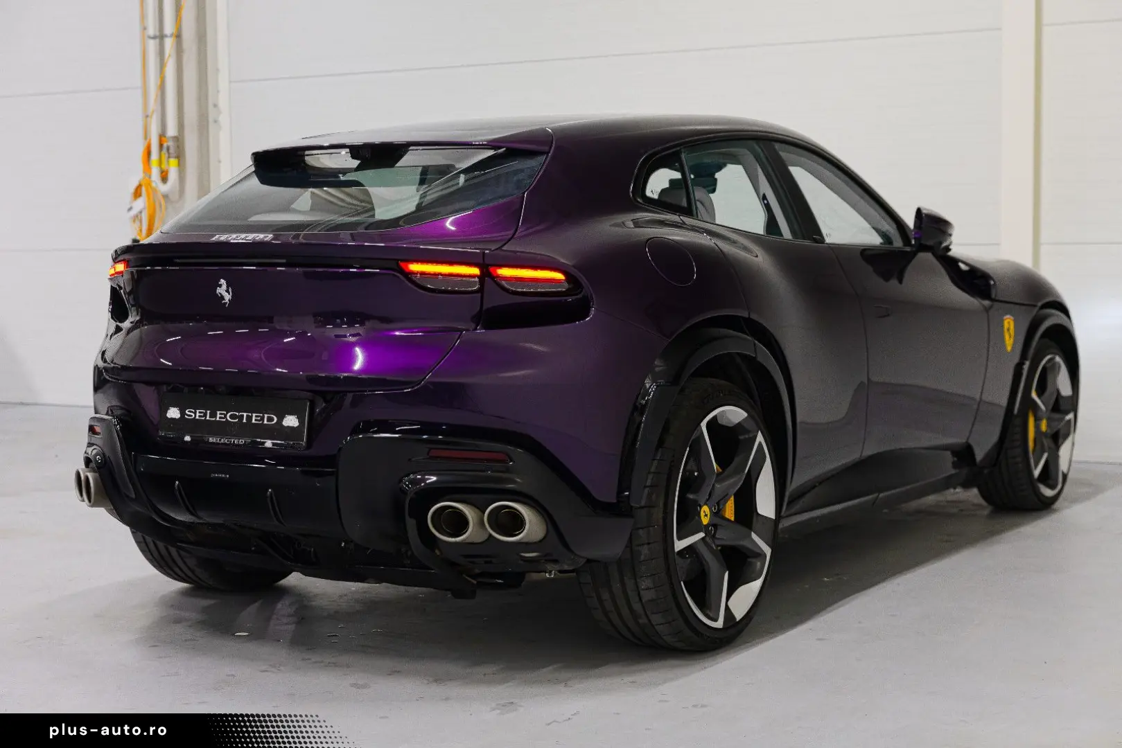 FERRARI PUROSANGUE LIFT MASSAGE PANO EXTRACAMPIONARIO