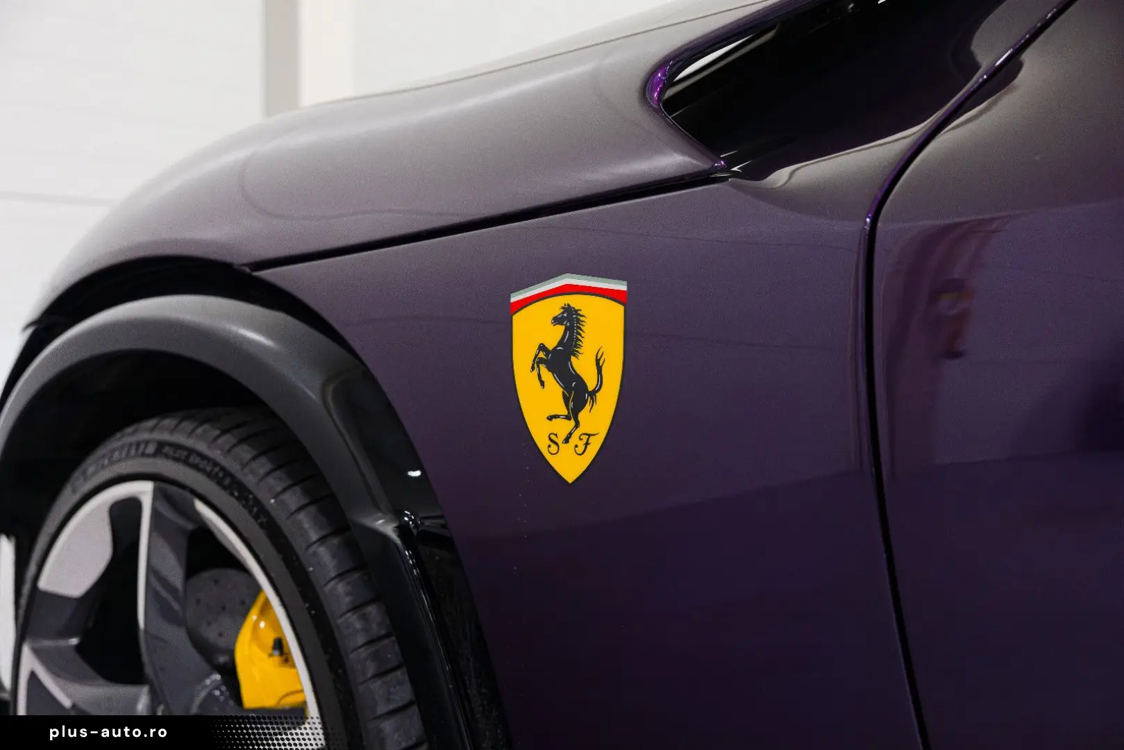 FERRARI PUROSANGUE LIFT MASSAGE PANO EXTRACAMPIONARIO