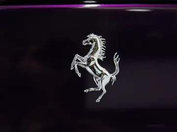 FERRARI PUROSANGUE LIFT MASSAGE PANO EXTRACAMPIONARIO