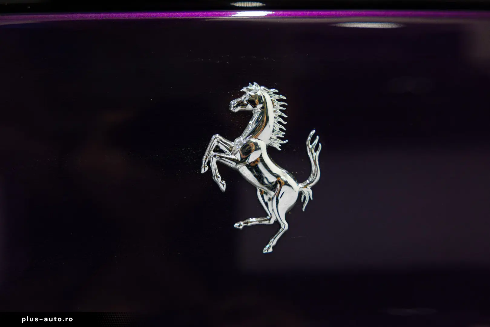 FERRARI PUROSANGUE LIFT MASSAGE PANO EXTRACAMPIONARIO