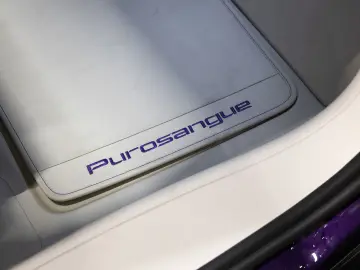 FERRARI PUROSANGUE LIFT MASSAGE PANO EXTRACAMPIONARIO