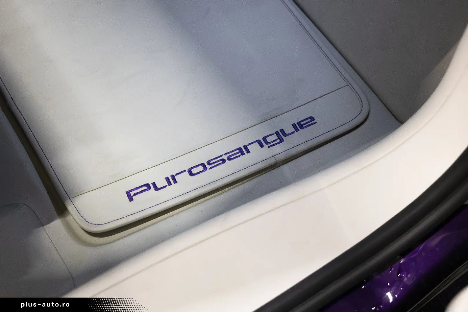 FERRARI PUROSANGUE LIFT MASSAGE PANO EXTRACAMPIONARIO