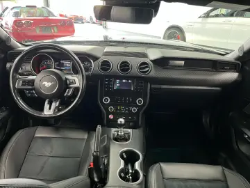 Ford Mustang GT 5 0l V8 GT500