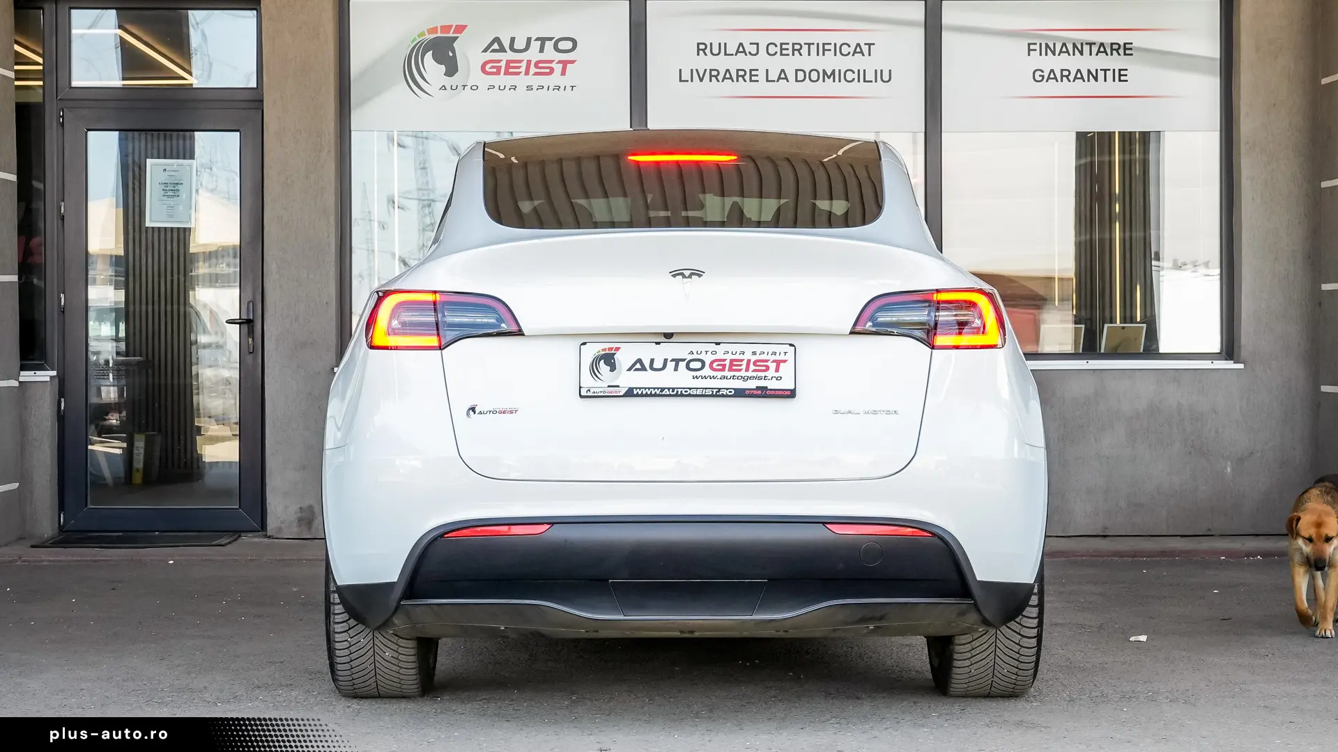 Tesla Model Y Long Range DUAL MOTOR AWD