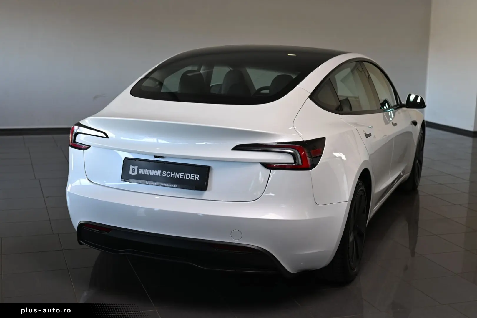 TESLA Model 3 Long Range Dual AWD Pano ACC