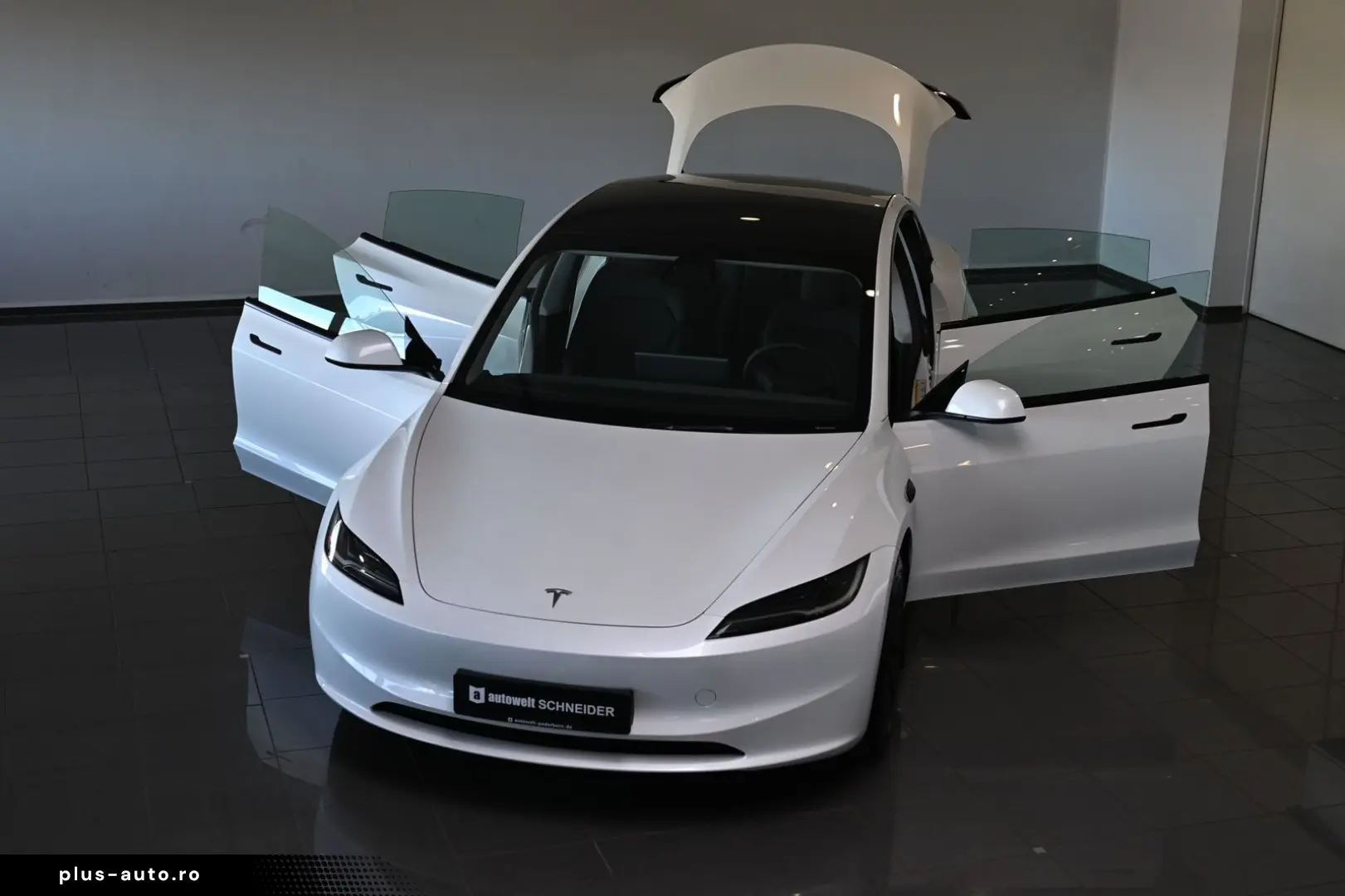 TESLA Model 3 Long Range Dual AWD Pano ACC