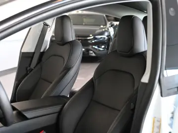 TESLA Model 3 Long Range Dual AWD Pano ACC