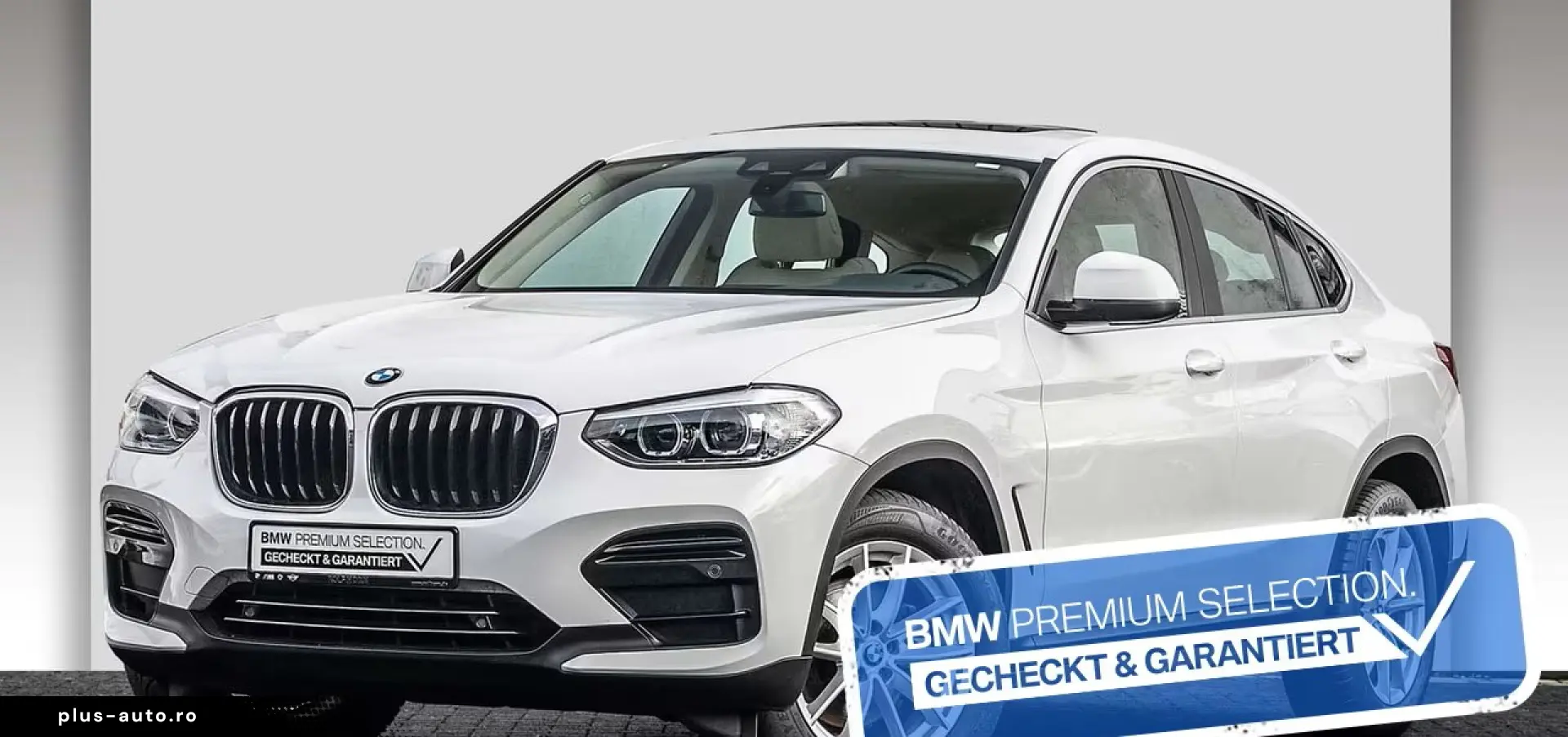 BMW X4 xDrive20d Advantage Aut. Navi Pano AHK Sitzhz