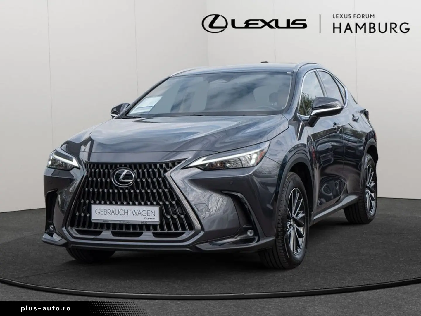 LEXUS NX 450h   Business el. Heckklappe  el. Sitze LED
