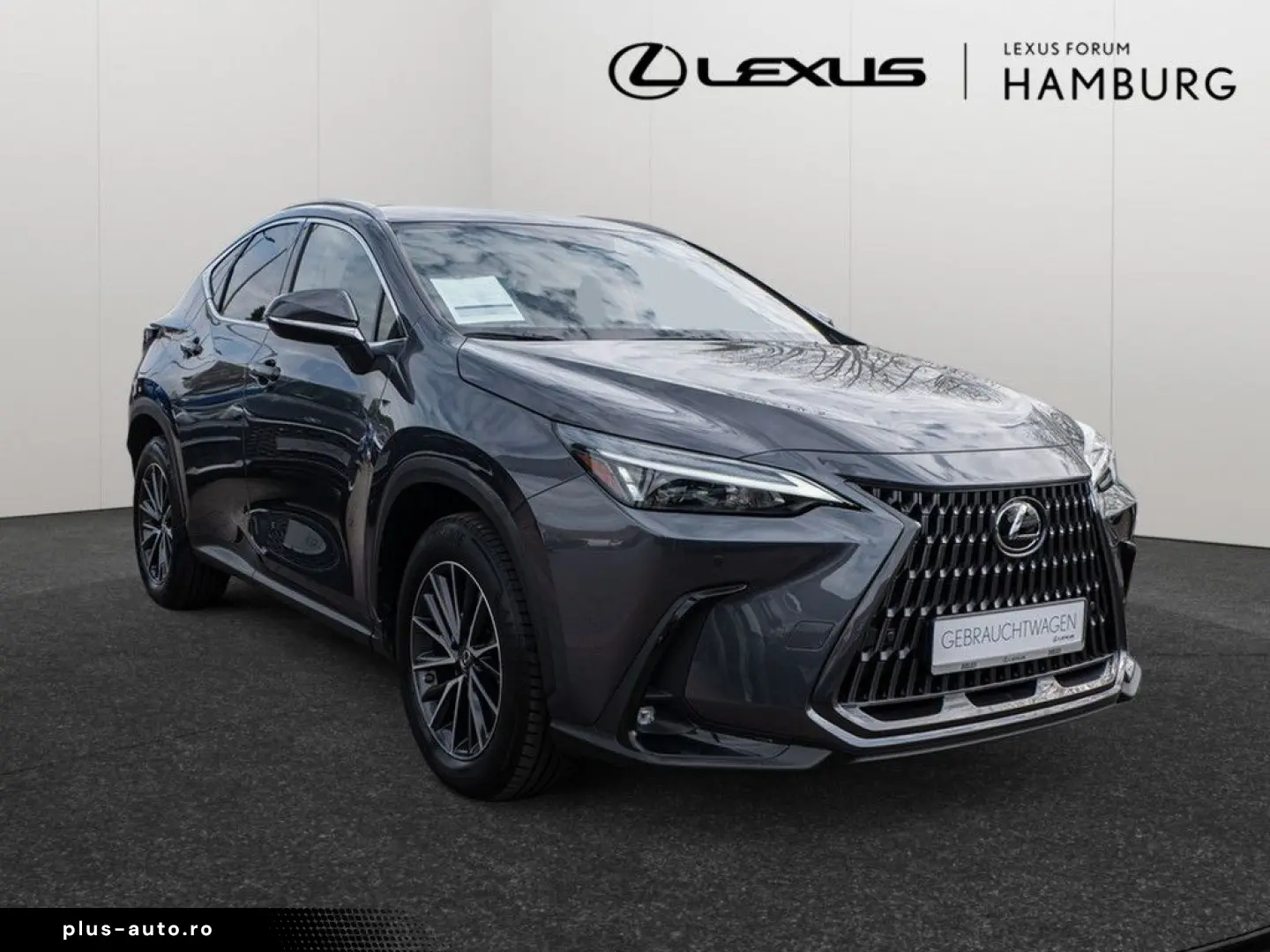 LEXUS NX 450h   Business el. Heckklappe  el. Sitze LED