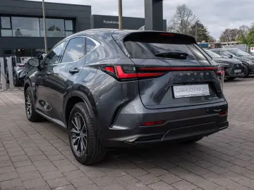 LEXUS NX 450h   Business el. Heckklappe  el. Sitze LED