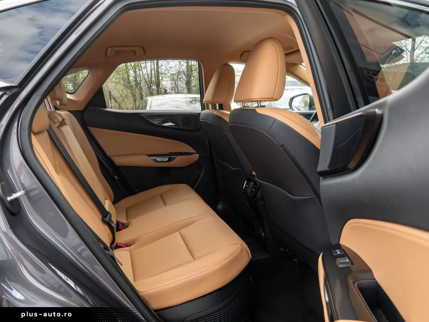 LEXUS NX 450h   Business el. Heckklappe  el. Sitze LED