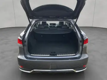 LEXUS RX 450h Style Edition  Headup  Panodach