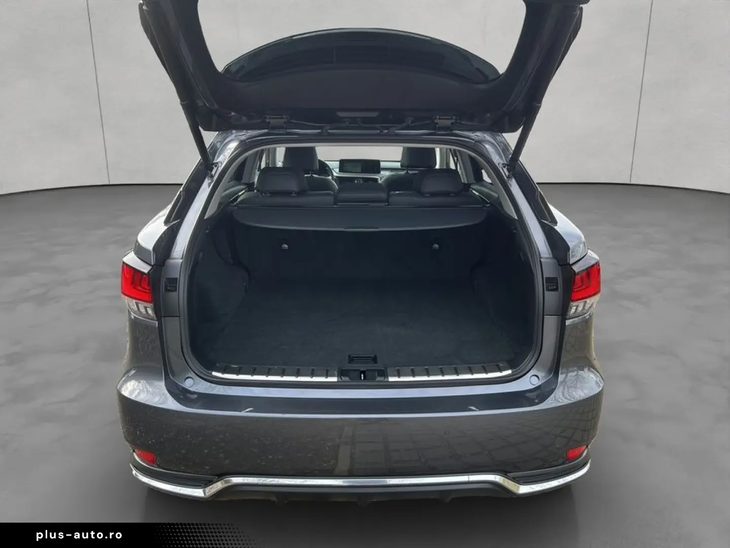 LEXUS RX 450h Style Edition  Headup  Panodach