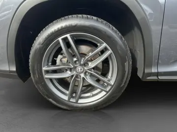 LEXUS RX 450h Style Edition  Headup  Panodach