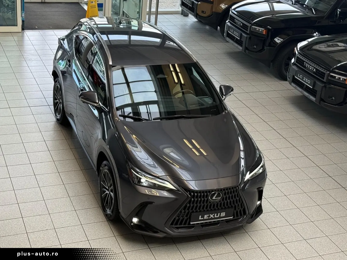 LEXUS NX 450h 4 WD-EXECUTIVE-360 KAMERA-HUD