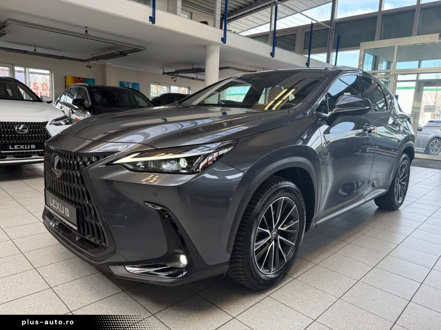 LEXUS NX 450h 4 WD-EXECUTIVE-360 KAMERA-HUD