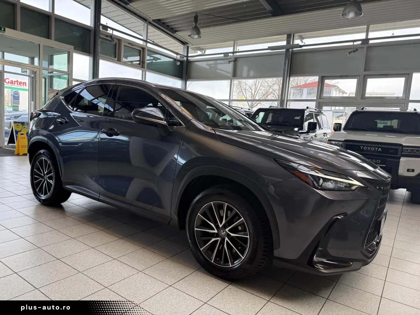 LEXUS NX 450h 4 WD-EXECUTIVE-360 KAMERA-HUD