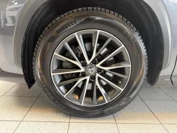 LEXUS NX 450h 4 WD-EXECUTIVE-360 KAMERA-HUD