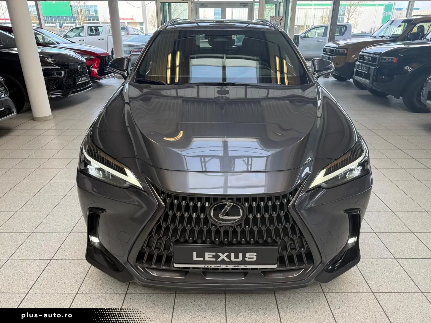 LEXUS NX 450h 4 WD-EXECUTIVE-360 KAMERA-HUD