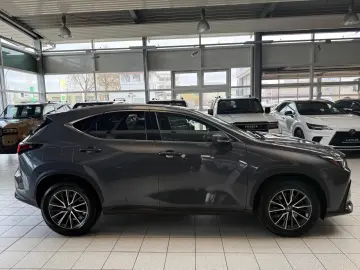 LEXUS NX 450h 4 WD-EXECUTIVE-360 KAMERA-HUD