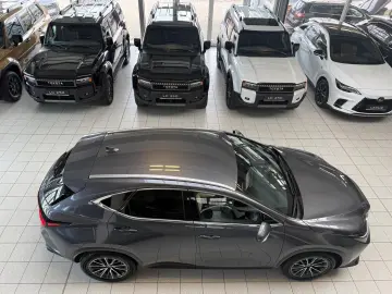 LEXUS NX 450h 4 WD-EXECUTIVE-360 KAMERA-HUD