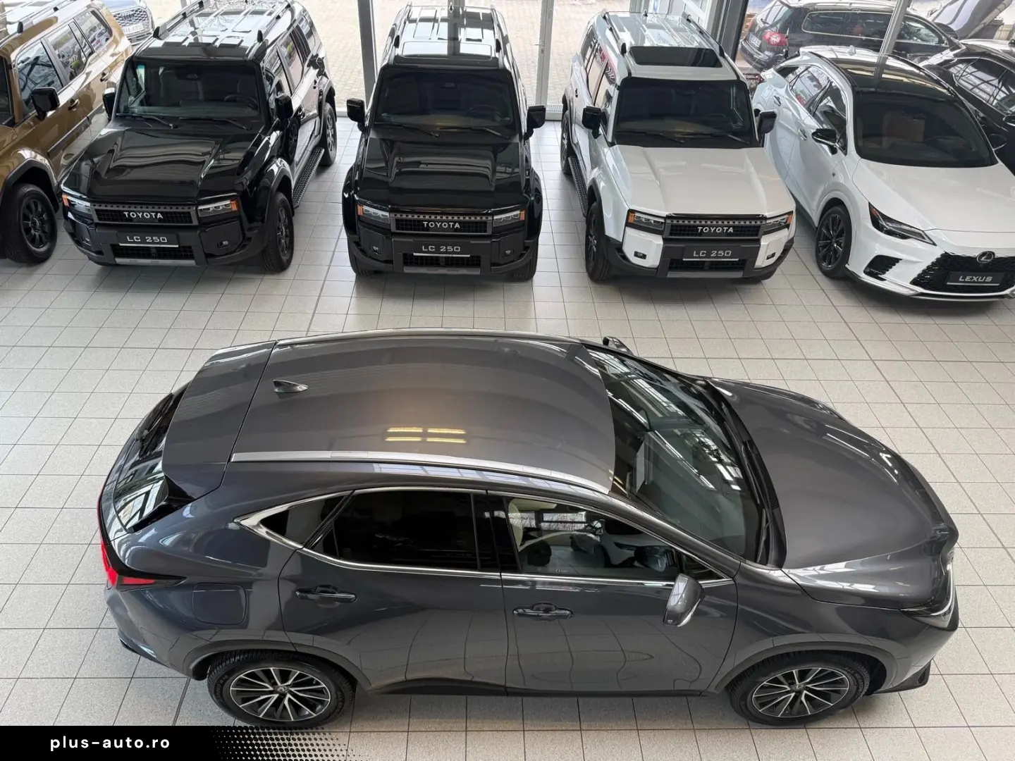 LEXUS NX 450h 4 WD-EXECUTIVE-360 KAMERA-HUD