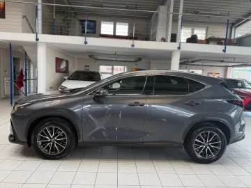 LEXUS NX 450h 4 WD-EXECUTIVE-360 KAMERA-HUD