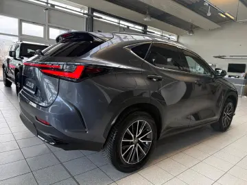 LEXUS NX 450h 4 WD-EXECUTIVE-360 KAMERA-HUD