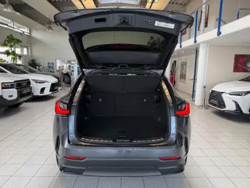 LEXUS NX 450h 4 WD-EXECUTIVE-360 KAMERA-HUD