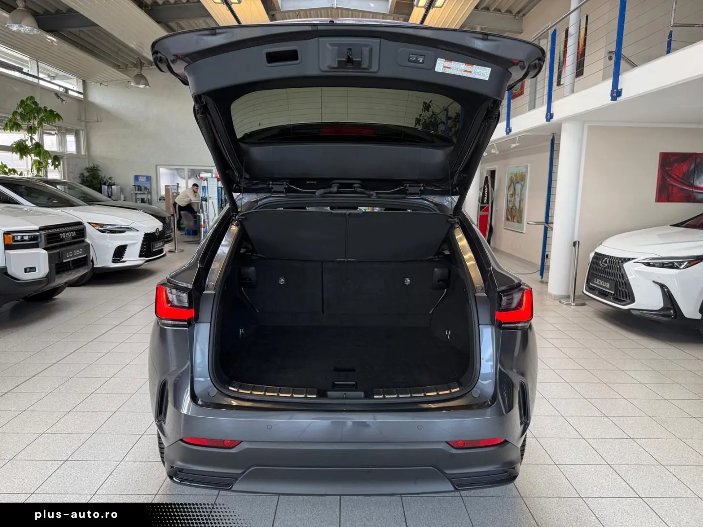 LEXUS NX 450h 4 WD-EXECUTIVE-360 KAMERA-HUD