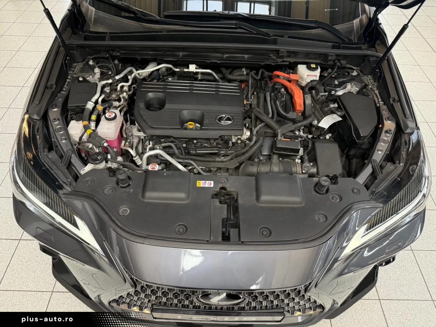 LEXUS NX 450h 4 WD-EXECUTIVE-360 KAMERA-HUD