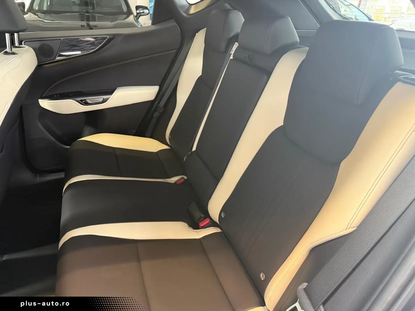 LEXUS NX 450h 4 WD-EXECUTIVE-360 KAMERA-HUD