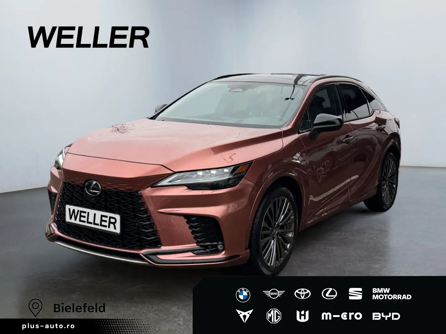 LEXUS RX 500h F SPORT   21   Allrad 360  Pano Levinson