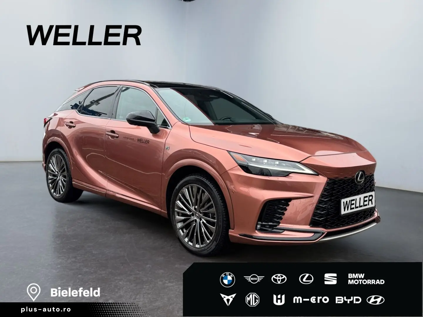 LEXUS RX 500h F SPORT   21   Allrad 360  Pano Levinson