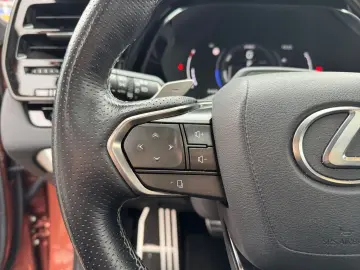 LEXUS RX 500h F SPORT   21   Allrad 360  Pano Levinson